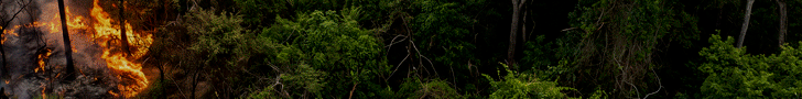 Header Media
